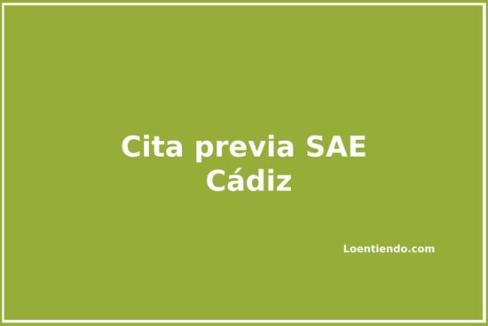 Cómo pedir cita previa en las oficinas del SAE en Cádiz