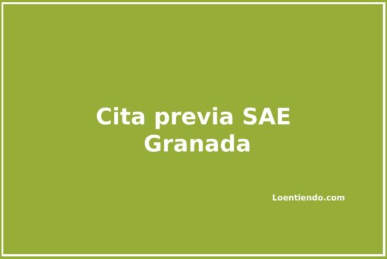 Cómo pedir cita previa en las oficinas del SAE de Granada