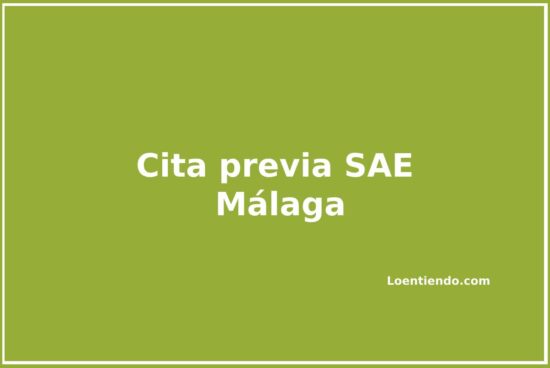 Cómo pedir cita previa en las oficinas del SAE de Málaga.