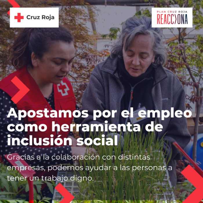 Ayudas y empleo desde Cruz Roja