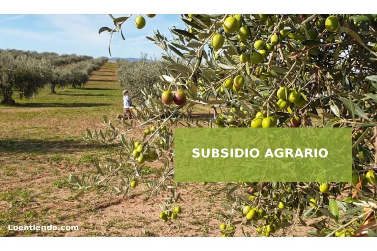 El subsidio agrario en Andalucía y Extremadura